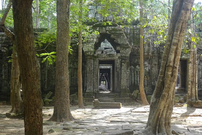 1-Day Angkor Wat Sunrise & All Interesting Temples Private Tour - A 4:45am start for Angkor Wat sunrise