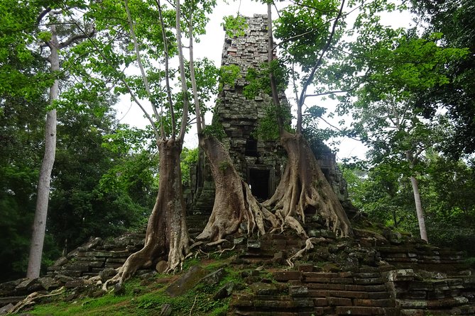 1-Day Angkor Wat Sunrise & All Interesting Temples Private Tour - Ta Nei brings a quieter, rougher side of Angkor