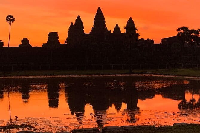 1 Day Angkor Wat with Sunrise Tour - Key points to know before booking