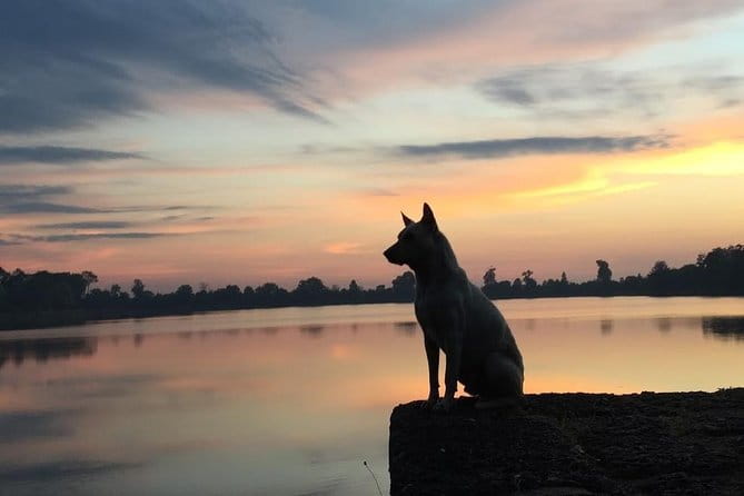 1 Day Angkor Wat with Sunrise Tour - Sunrise at Angkor Wat, the day’s big payoff