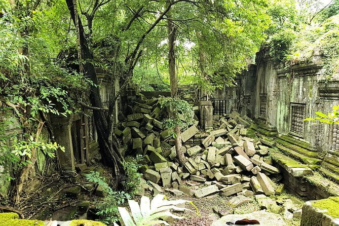 1 day special Tour: Angkor Wat,Bayon,Ta Prohm, Bantey srei and Beng Mealea - Key points before you book
