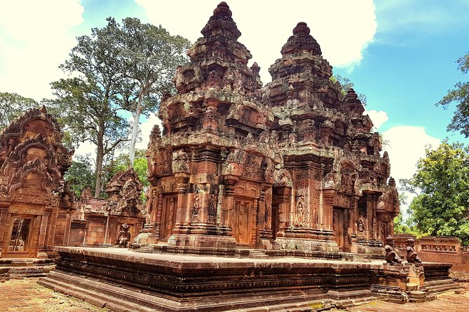 1day Private tour, Angkor sunrise,all main temples, Banteay srei - Ta Prohm and the roots of the jungle