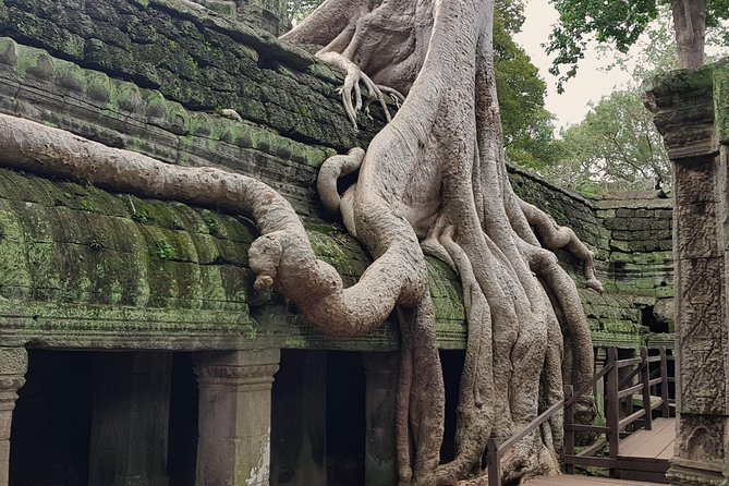 1day Private tour, Angkor sunrise,all main temples, Banteay srei - Heat, walking, and the nine-hour schedule