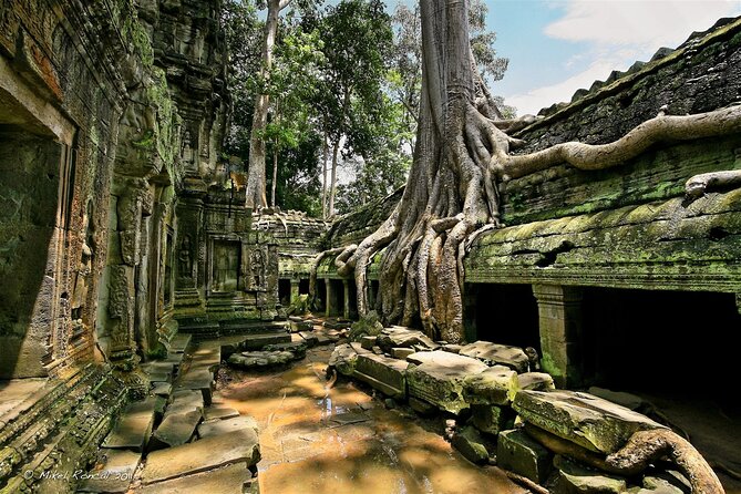 1day private tour to all majestic Temples in Angkor and Sunset - Ta Prohm and the Jungle Temple Mood