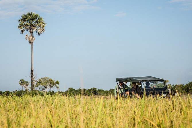 2-Day : Angkor Sunrise, Kompong Phluk Sunset & Banteay Srei Tour - Why this tour covers more than the usual Angkor circuit