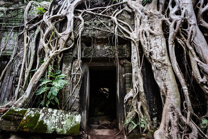 2-Day : Angkor Sunrise, Kompong Phluk Sunset & Banteay Srei Tour - Banteay Srei and the rough road outward