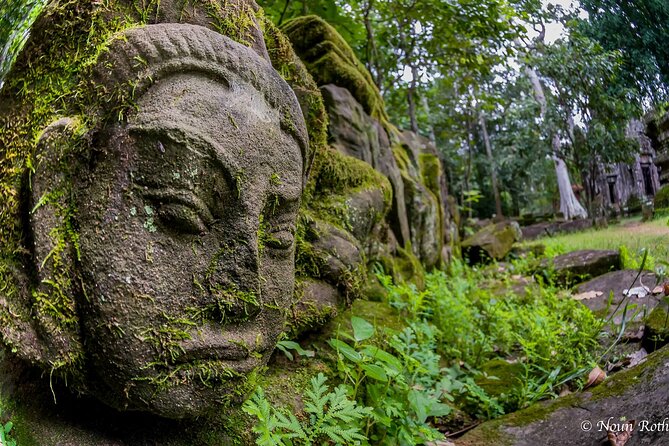2-Day Angkor Wat, Banteay Srei & Floating Village Kampong Pluk - Ta Prohm brings the trees and the film connection