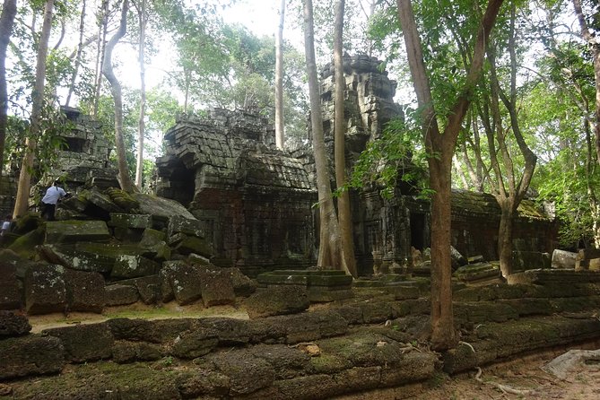 2-Day Angkor Wat With Small, Big Circuit and Banteay Srei Tour - Who should book this Angkor tour?