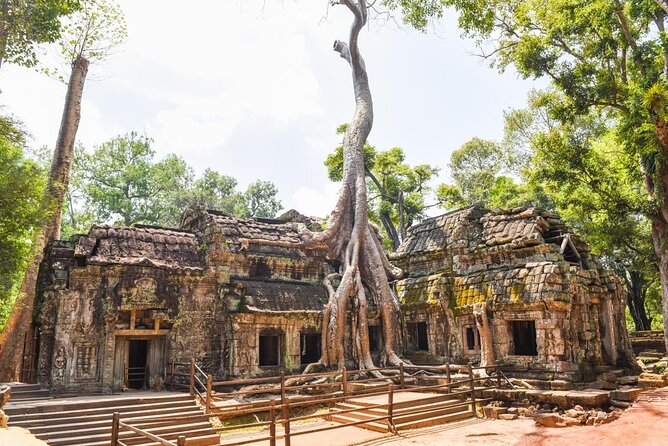 2-Day tour with sunrise - Key points to know before you book