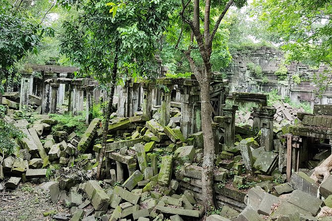 2-Days Private Tour in Angkor Sunrise, Banteay Srei and Beng Mealea Temple - Ta Prohm, where trees claim the ruins