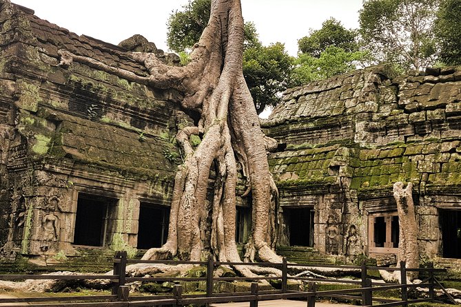 2-Days Private Tour in Angkor Sunrise, Banteay Srei and Beng Mealea Temple - Preah Khan and Neak Pean on the second day