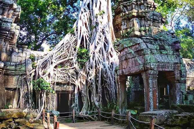 2-Days Tour (The Best Historical of Khmer Empire) - Ta Prohm brings the jungle into the story