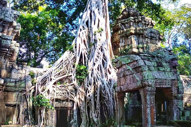 3-Day Tour(Unforgettable Angkor Temple Complex, Banteay Srei& Floating Village) - Day two: Angkor Wat at sunrise and the Roluos temples