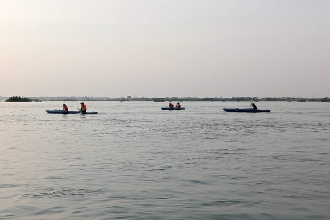 4 hours taking tuk tuk to see Mekong dolphins and countryside - What the guide adds, and where the tour can fall short