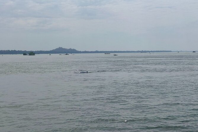 4 hours taking tuk tuk to see Mekong dolphins and countryside - The tuk-tuk ride from Kratie to the countryside