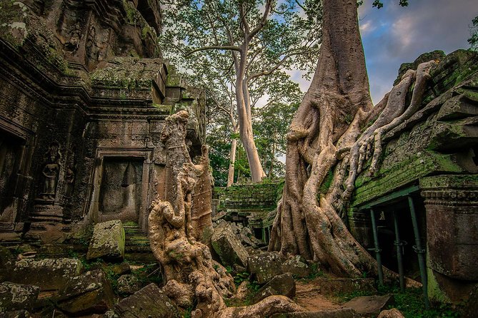 5-Day All Major Temples & Kulen Mount Waterfall & Koh Ker & Beng Mealea - Day 4: The Big Circle, Ta Prohm, and Phnom Bakheng