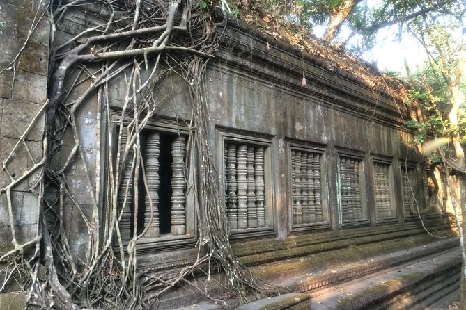 A Day Angkor Wat Sunrise Tour, Ta Prohm & Hidden Gems Beng Mealea - A private vehicle changes the pace