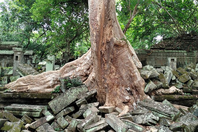 A Day Angkor Wat Sunrise Tour, Ta Prohm & Hidden Gems Beng Mealea - What the guide adds to the stone