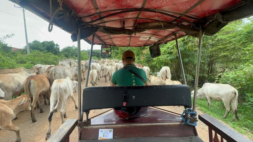 A day tour through Battambang/Local area and landmarks - City sights before the countryside