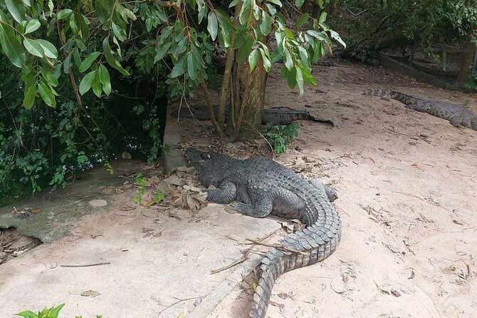 A Day Trip To Phnom Chisor - Tonle Batti From Phnom Penh - Tonle Bati and the Ta Prohm temple