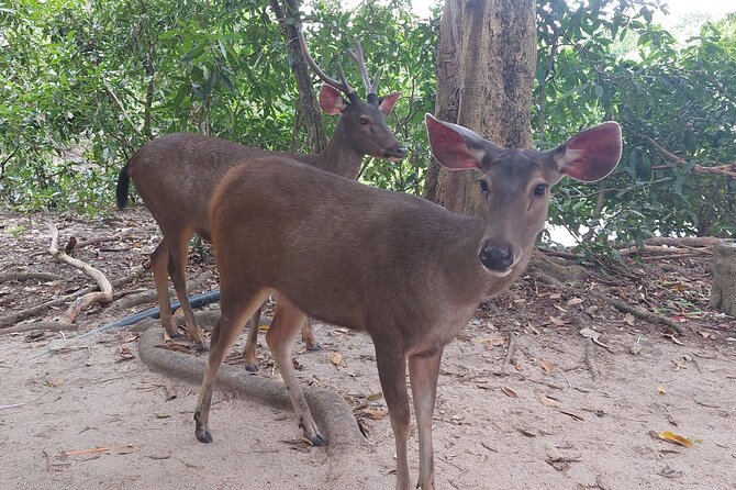 A Day Trip To Phnom Chisor - Tonle Batti From Phnom Penh - Who will get the most from this day trip
