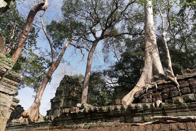Afternoon Angkor Wat Private Tour with Sunset - Bayon’s stone faces in Angkor Thom