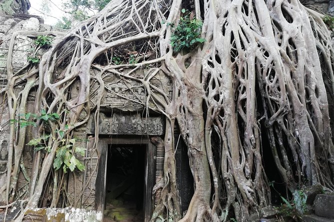 Afternoon Angkor Wat Private Tour with Sunset - What the $59 price really covers