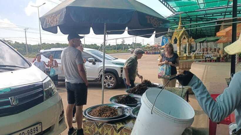 An Unforgettable Road Trip from Phnom Penh to Siem Reap - The drivers can shape the whole day