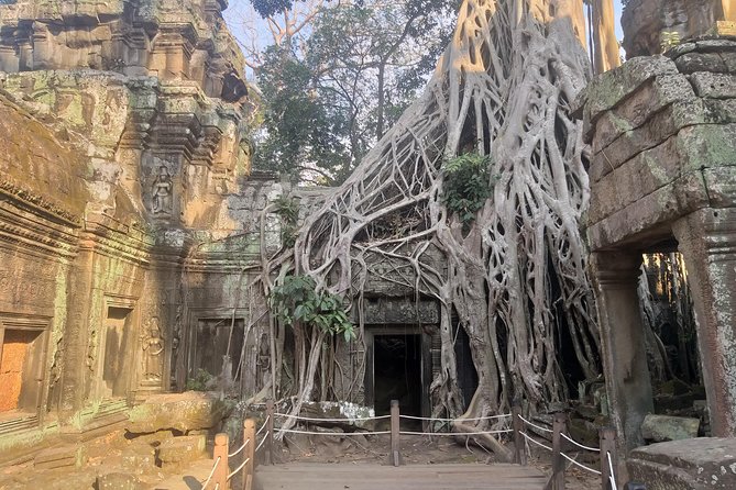 Angkor Discovery 2-Days Of Private Tour - Baphuon and the Terrace of the Elephants add royal scale