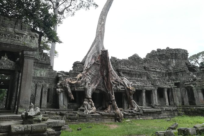 Angkor Grand Circuit Temples Tour - Preah Khan gives you the grandest opening