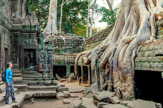 Angkor Sunrise Small Group Tour Inclusive Breakfast and lunch - Guides, photos, and the human side of the day