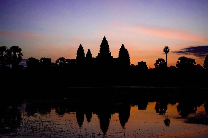 Angkor Sunrise Vespa Tour / Tuk Tuk or Car - Ta Prohm and the trees over the stones