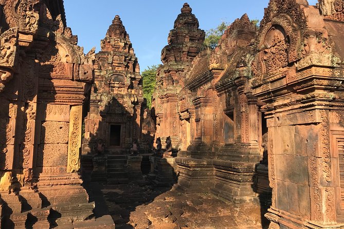 Angkor Temples Highlights: 2-Day Private Tour with Sunrise - Ta Prohm shows nature taking back the stone