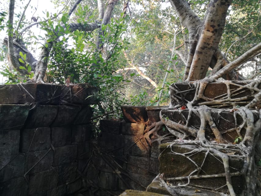 Angkor Temples Highlights Tour: 2 Days with Sunrise - Who should book this tour?