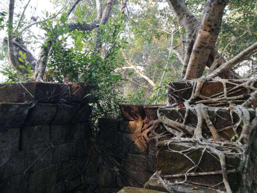 Angkor Temples Highlights Tour: 2 Days with Sunrise - The guides make the difference