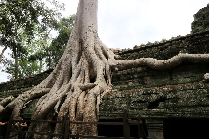 Angkor Temples Private Full-Day Tour from Siem Reap (Free Child) - The guide and driver are the real value
