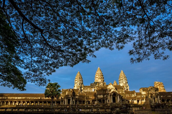 Angkor wat and Small group temples Full day tours - Ta Prohm and the pull of the jungle