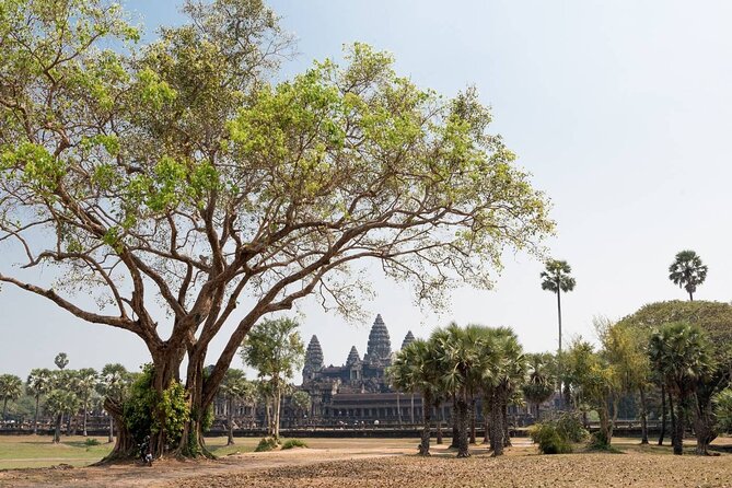 Angkor Wat, Angkor Thom & Elephant Terrace Half-Day Tours - The Elephant Terrace and the royal viewing platform