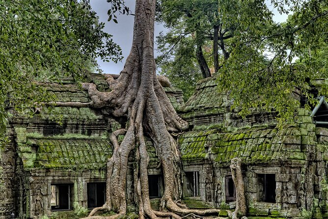 Angkor Wat, Angkor Thom & Elephant Terrace Half-Day Tours - Starting at Angkor Wat with two hours to look around