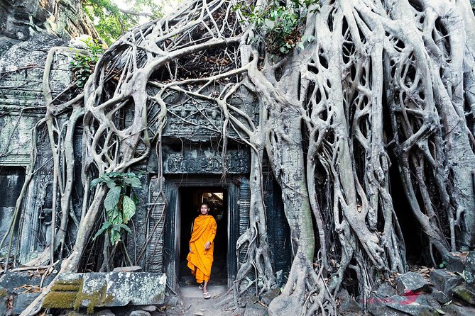 Angkor Wat & Banteay Srey Tour - Ta Prohm and the trees over the walls