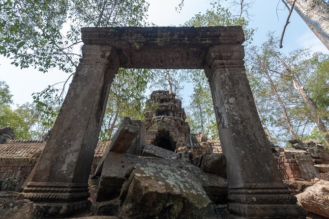 Angkor Wat by Vintage Jeep – Private Tour - Ta Prohm, roots and movie fame