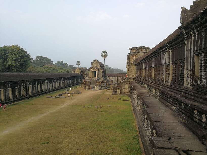 Angkor Wat Full-Day Private Tour with Sunset - Ta Prohm, where stone meets jungle