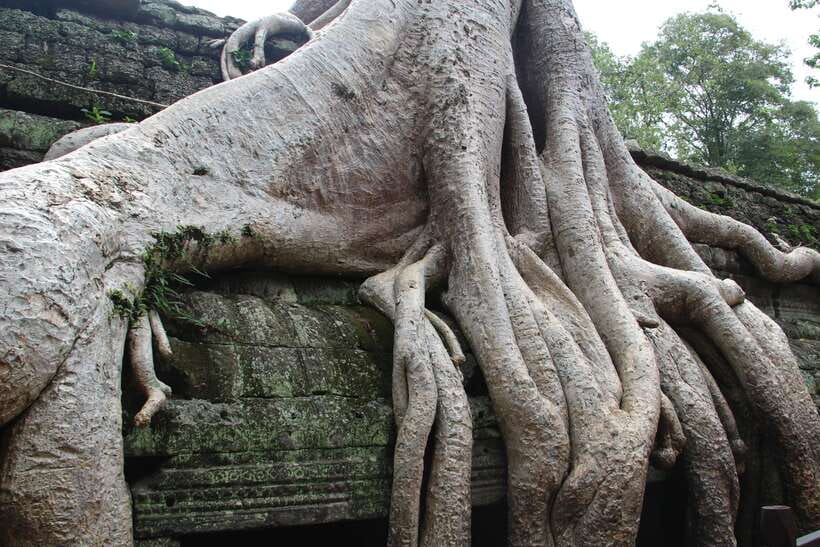 Angkor Wat Full-Day Private Tour with Sunset - Who should book this Angkor day