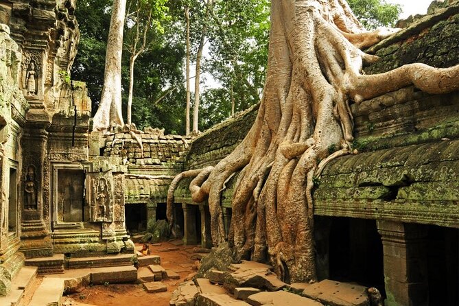 Angkor Wat full Day 'Small Group with sunset & Tour Guide - Phnom Bakheng is a sunset finish with a catch