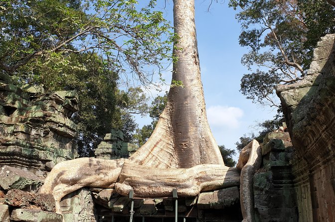 Angkor Wat Full Day Tour in Siem Reap Small-Group - Why this Angkor Wat tour works well for a first visit