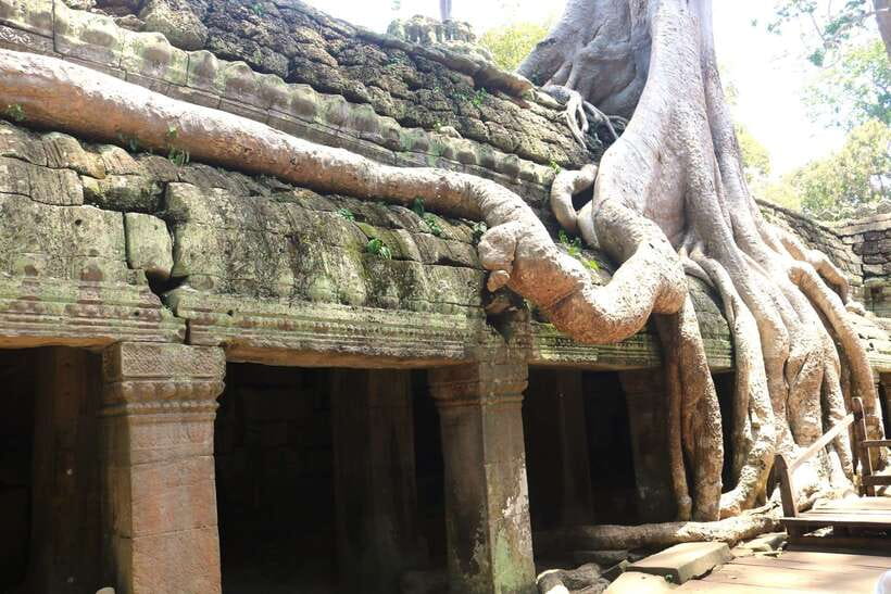 Angkor Wat: Highlights and Sunrise Guided Tour - What the transport and guide service add