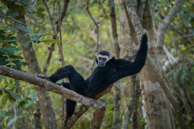 Angkor Wat Park Zip Line Adventure in Siem Reap - Who will enjoy this most