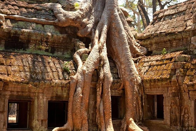 Angkor Wat Private Day Tour - Three hours at Angkor Wat, with sunset