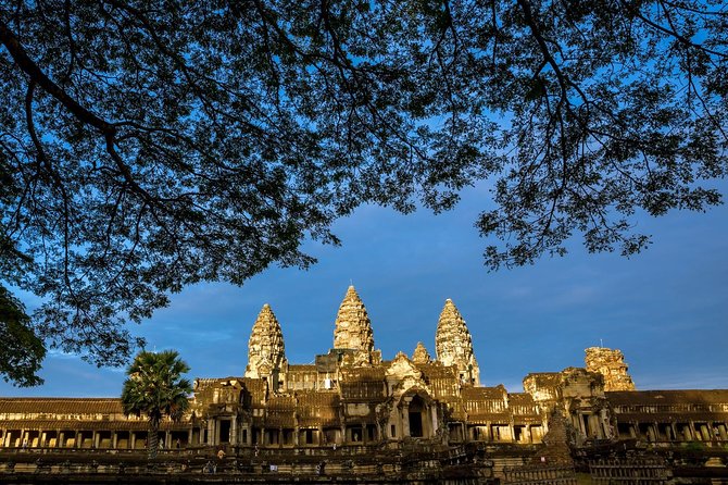 Angkor Wat Private Day Tour from Siem Reap - Ta Prohm, where roots press through the ruins