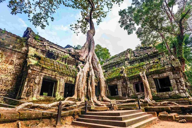 Angkor Wat Private Day Tour from Siem Reap - What the private format is really worth